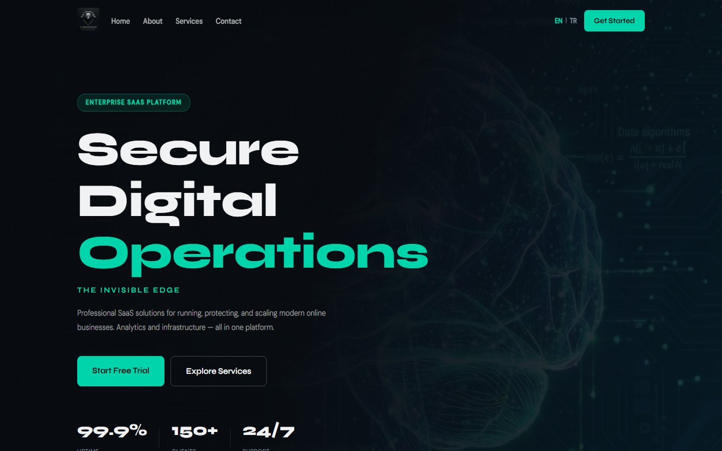 Cyberberus.com ana marka sitesi ekran görüntüsü
